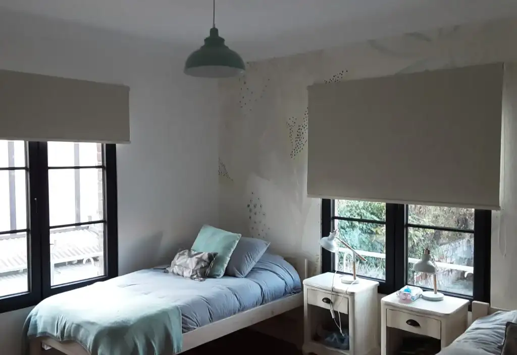 Cortinas Roller Blackout